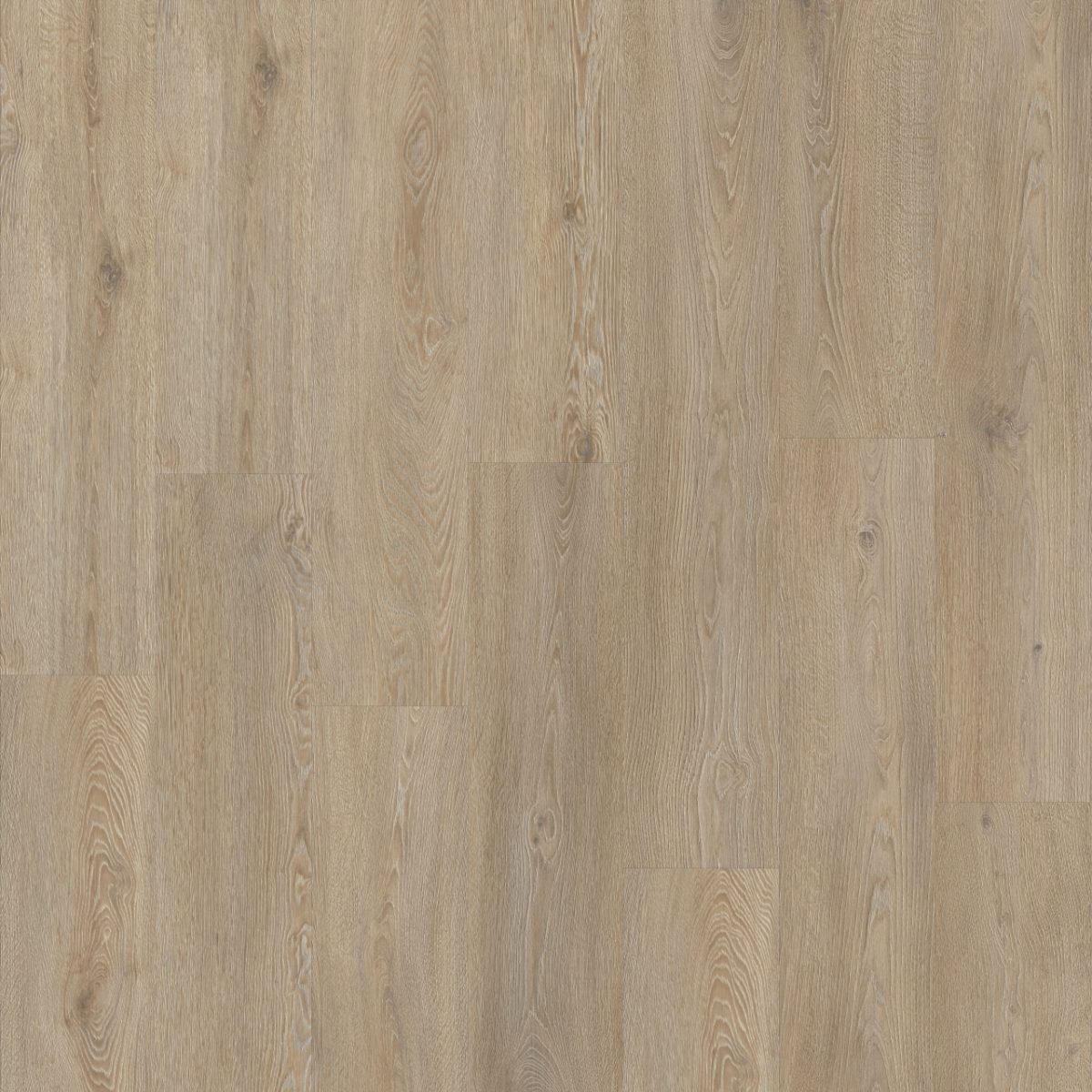 Moduleo Roots 55 lifelike texture Galtymore Oak 86851 1 Moduleo Roots 55 lifelike texture Galtymore Oak 86851