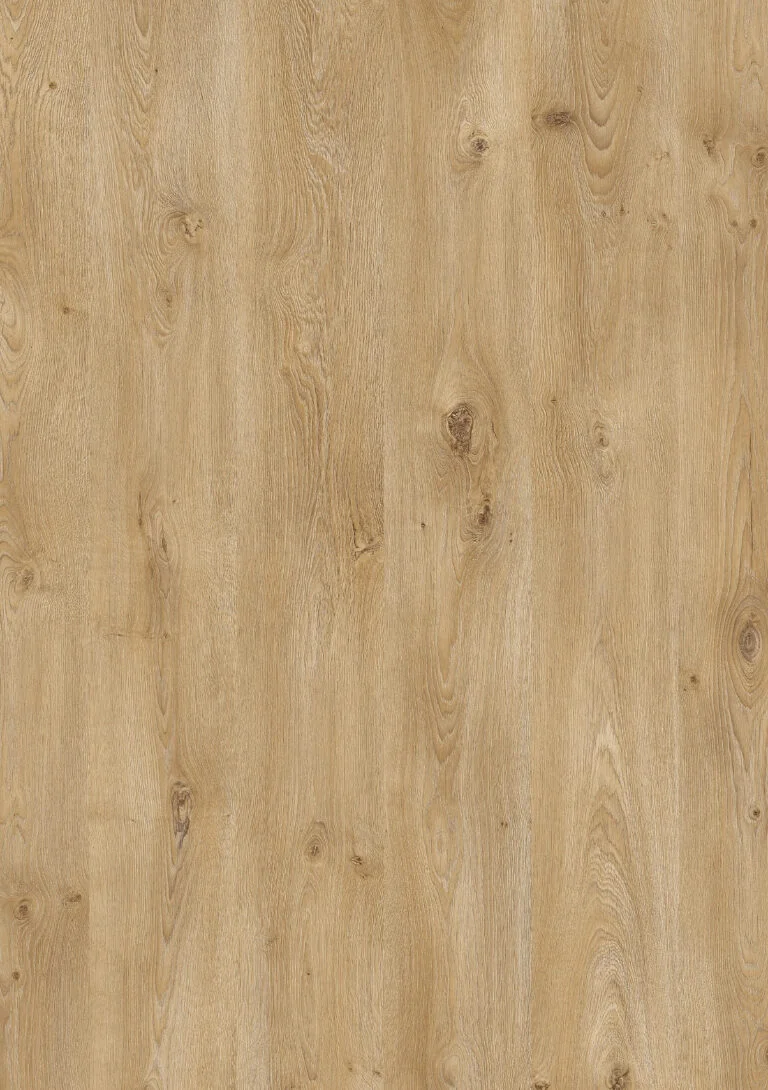 Royal XL V2 Drakensberg 8284