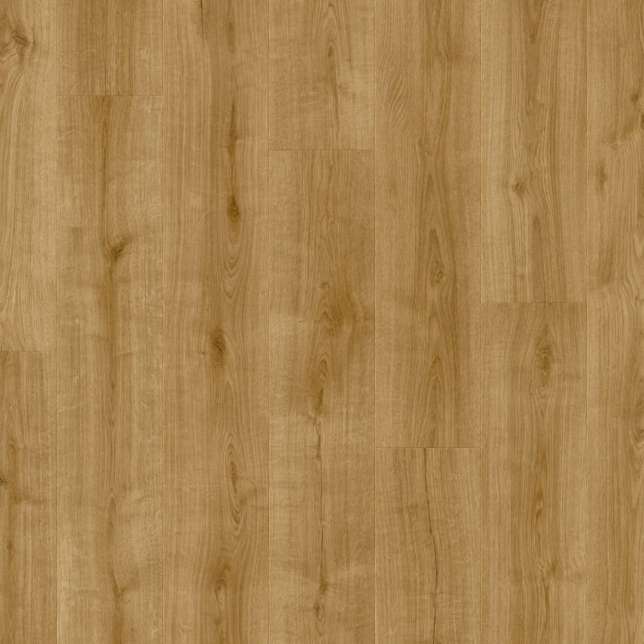 Wistman Oak 63840 Moduleo Layred